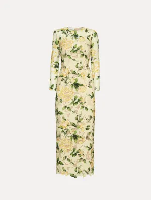 English Rose Guipure Dress