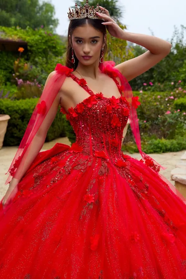 Glitter Applique Long Quinceanera Dress